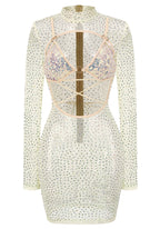 Laurinete Long Sleeve Sequin Crystal Mini Dress In Ivory