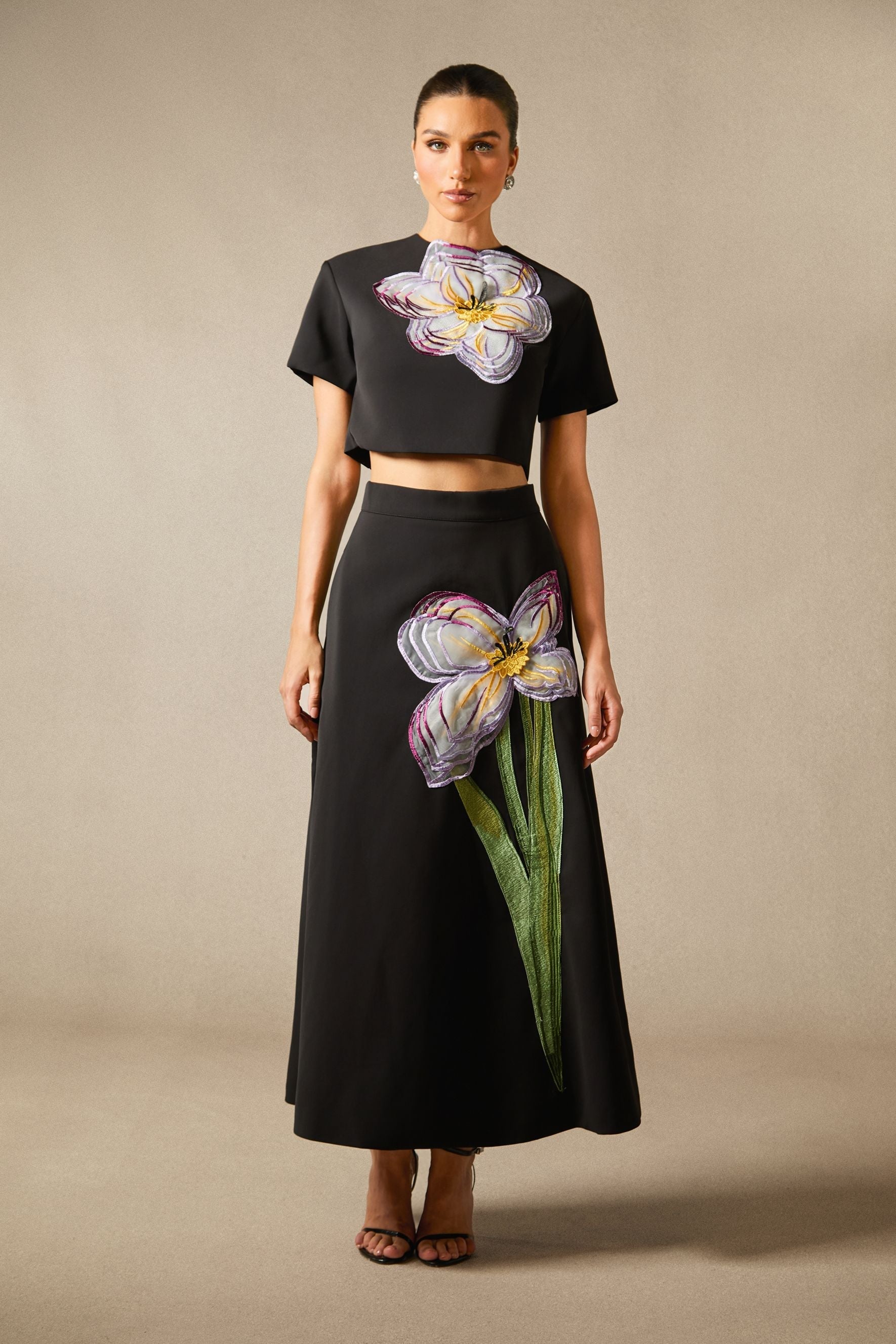 Elizaveta Floral Applique Short Sleeve Top & Skirt Set