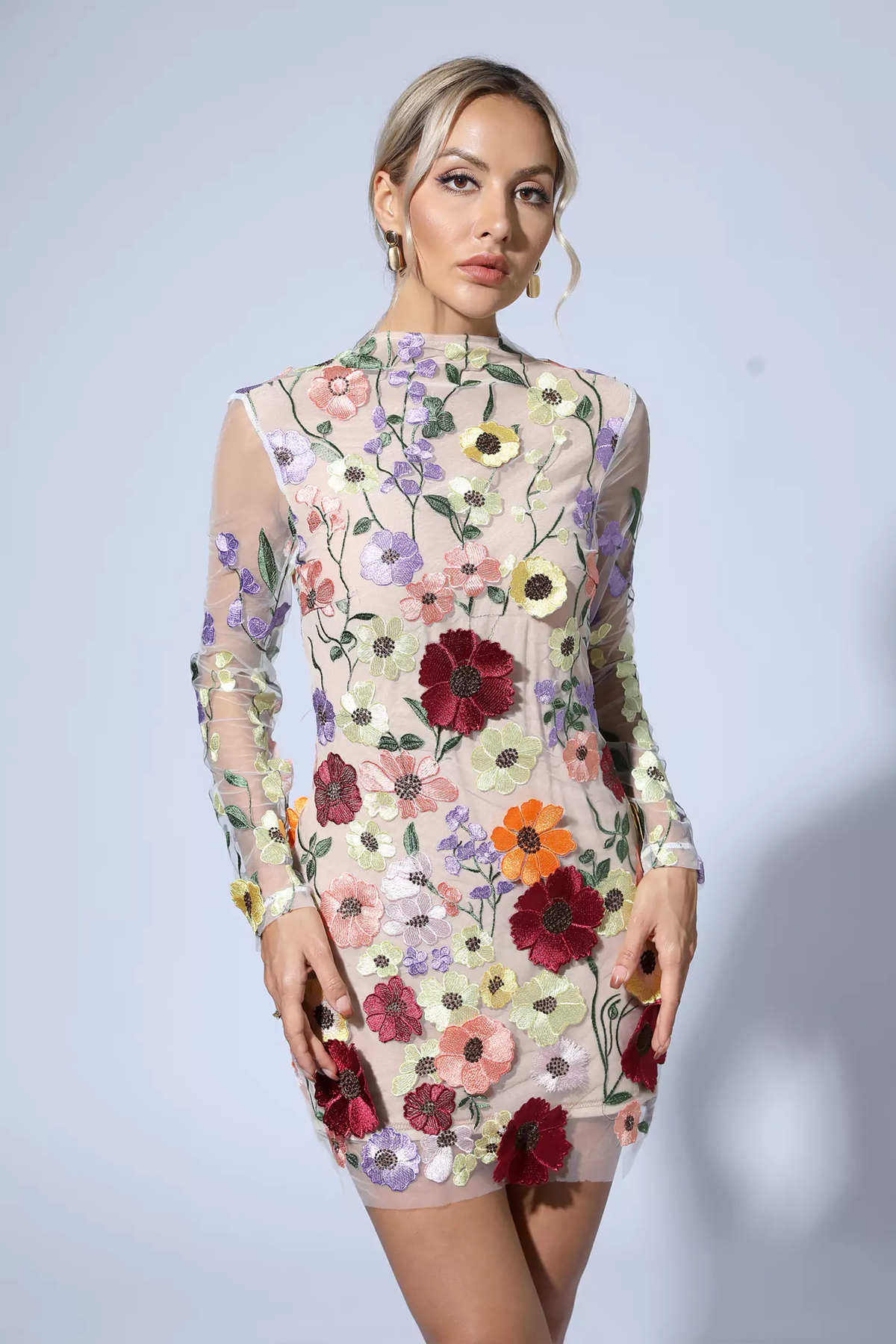 Pava Embroidered Lace Half High Collar Mini Dress