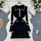 Vintage Polo Collar Knitted Dress
