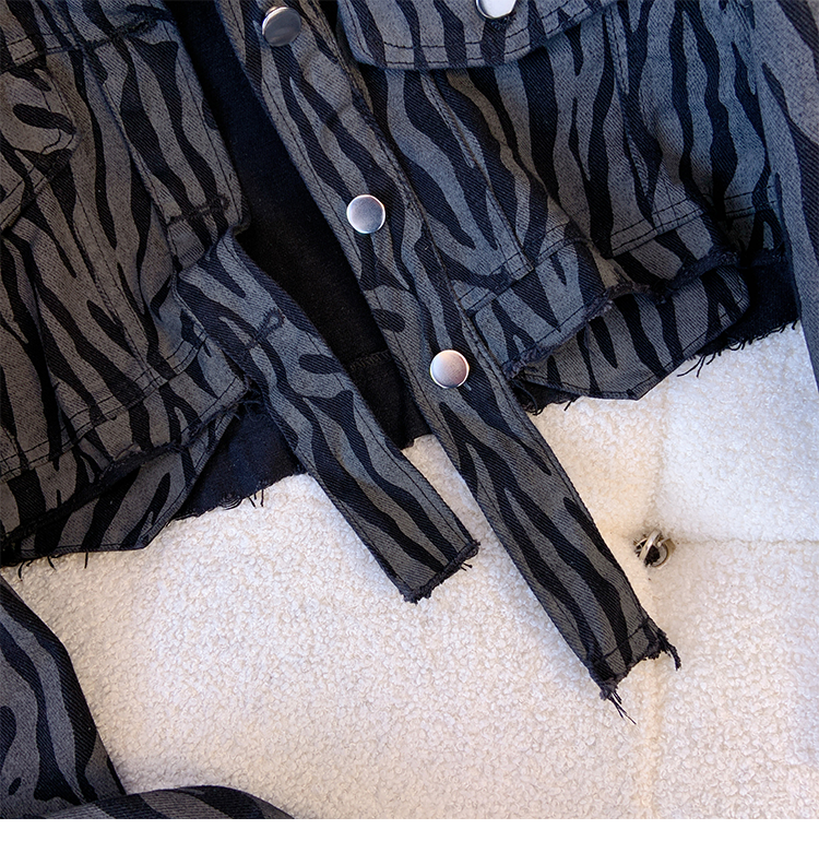 Vintage Stripe Printed Short Jacket