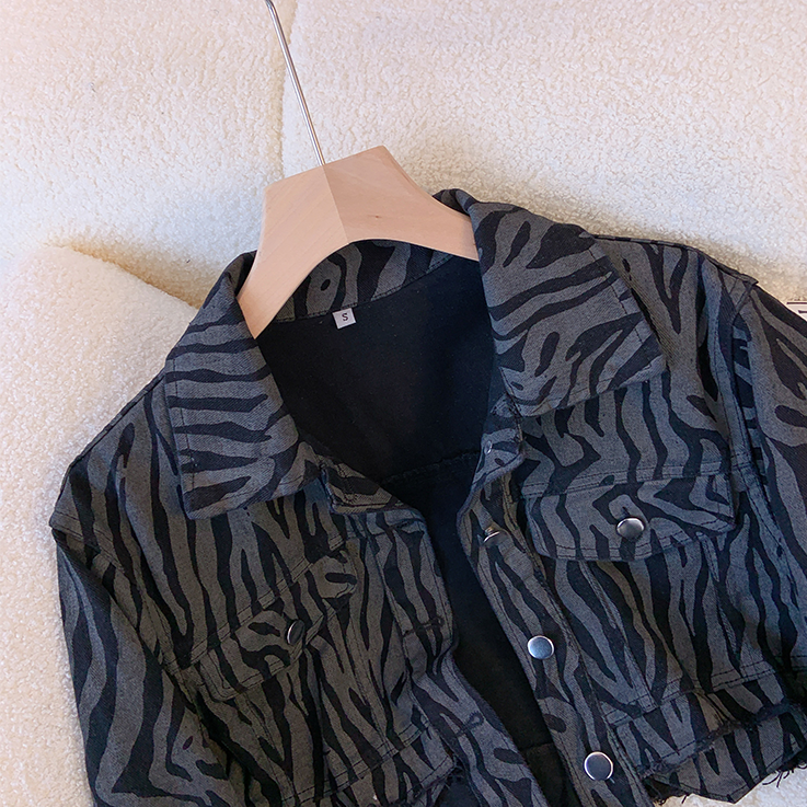 Vintage Stripe Printed Short Jacket