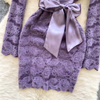 V-neck Embroidered Flocked Lace Dress