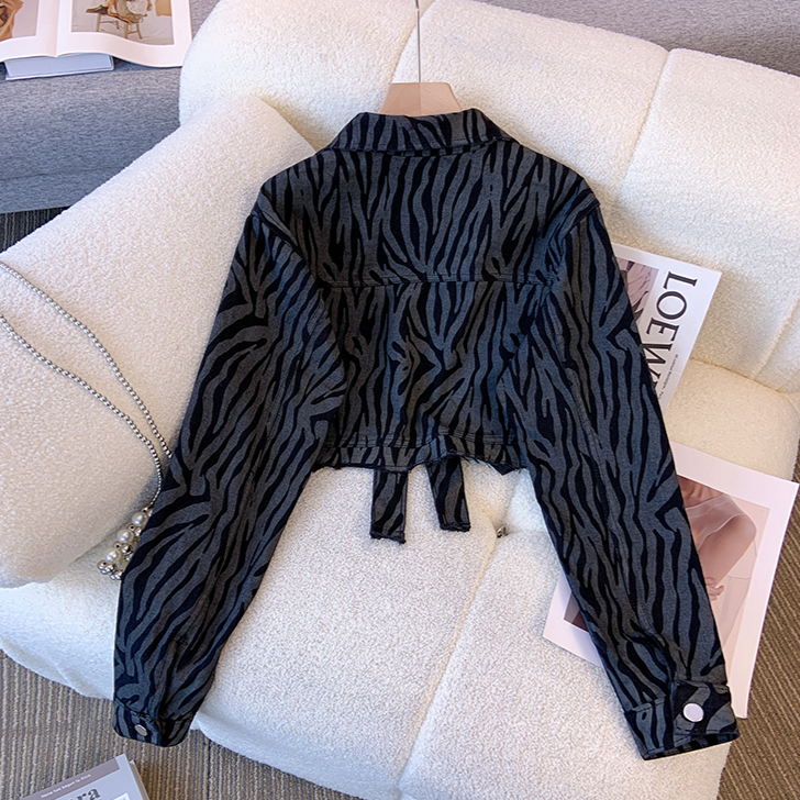 Vintage Stripe Printed Short Jacket