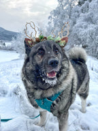 Pine Cone Christmas Reindeer Headband | HeyKat®