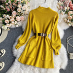 Turtleneck Long Sleeve Knitted Sweater Dress