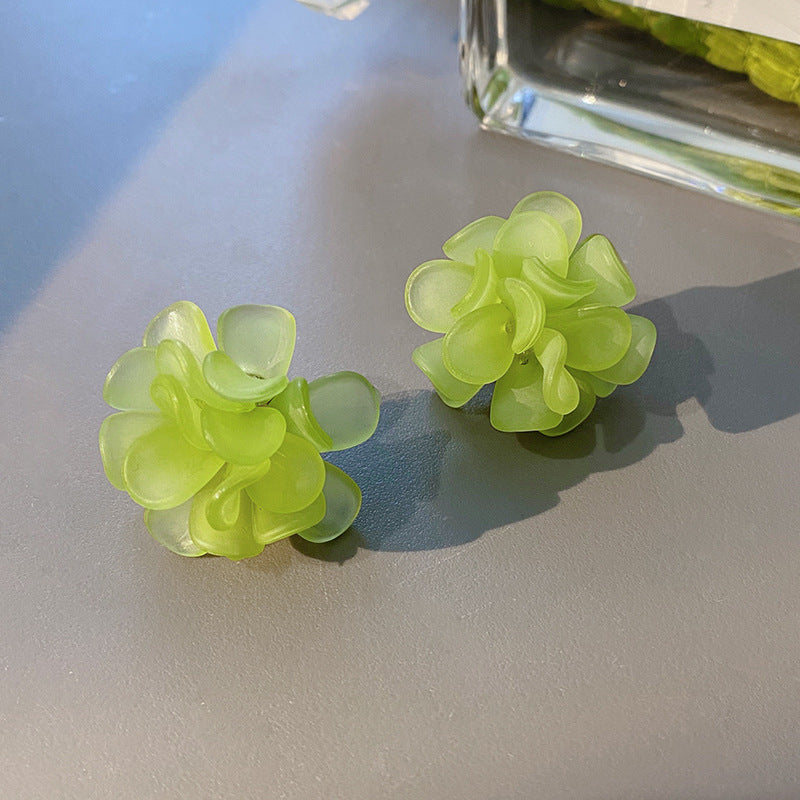 New-arrived Popular Frosted Earrings