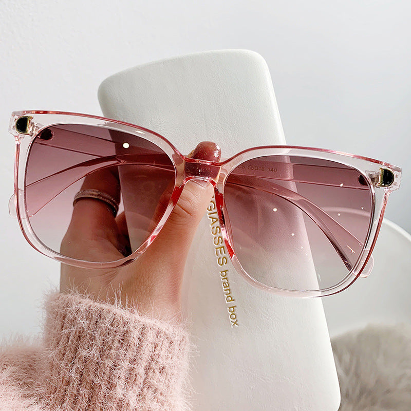Clear Border Sunglasses