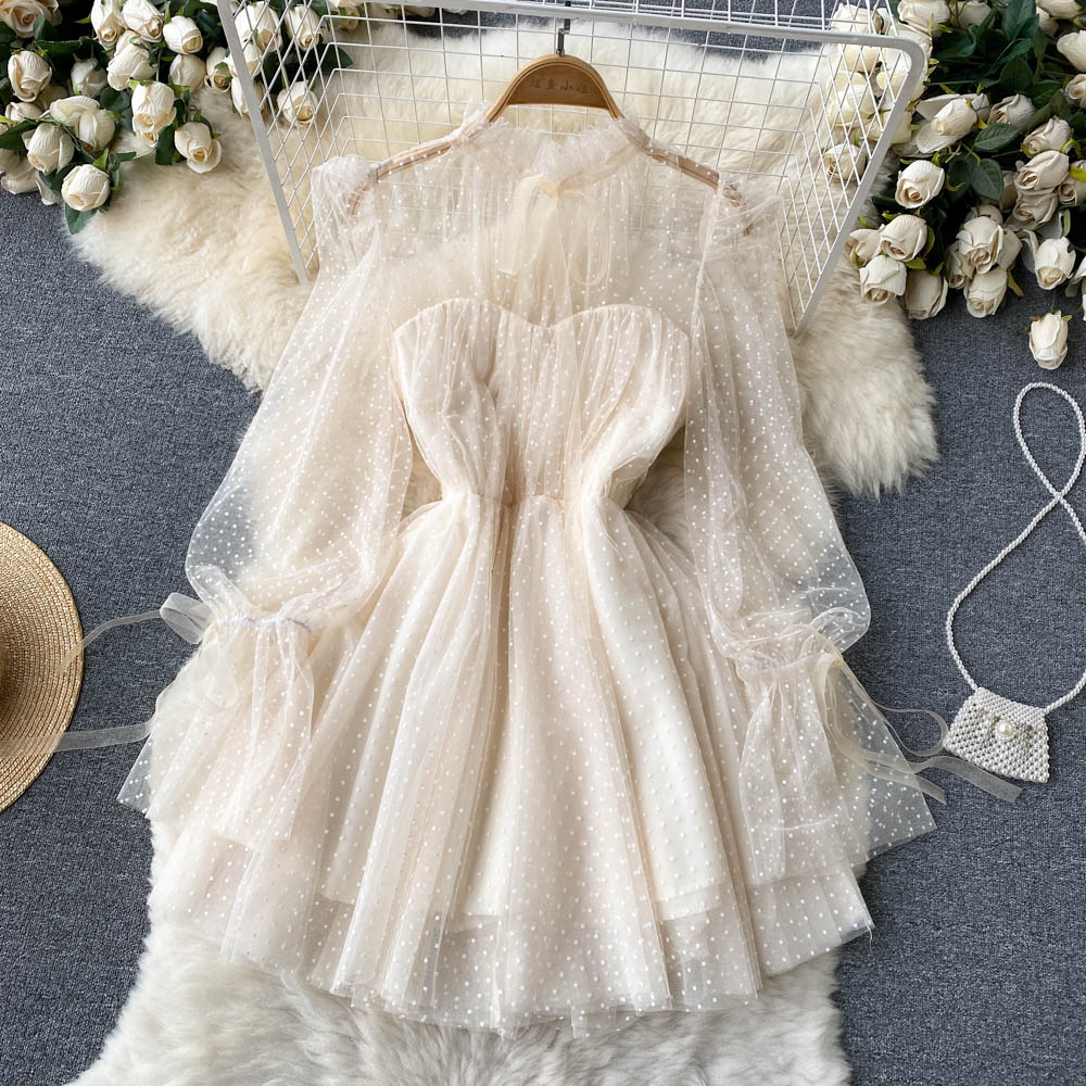 Mesh Polka Dot A-Line Waist Puff Skirt