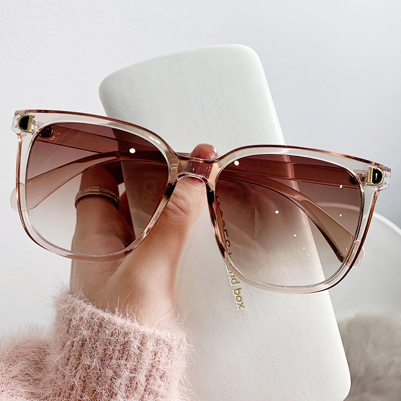 Clear Border Sunglasses
