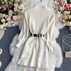Turtleneck Long Sleeve Knitted Sweater Dress