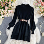 Turtleneck Long Sleeve Knitted Sweater Dress