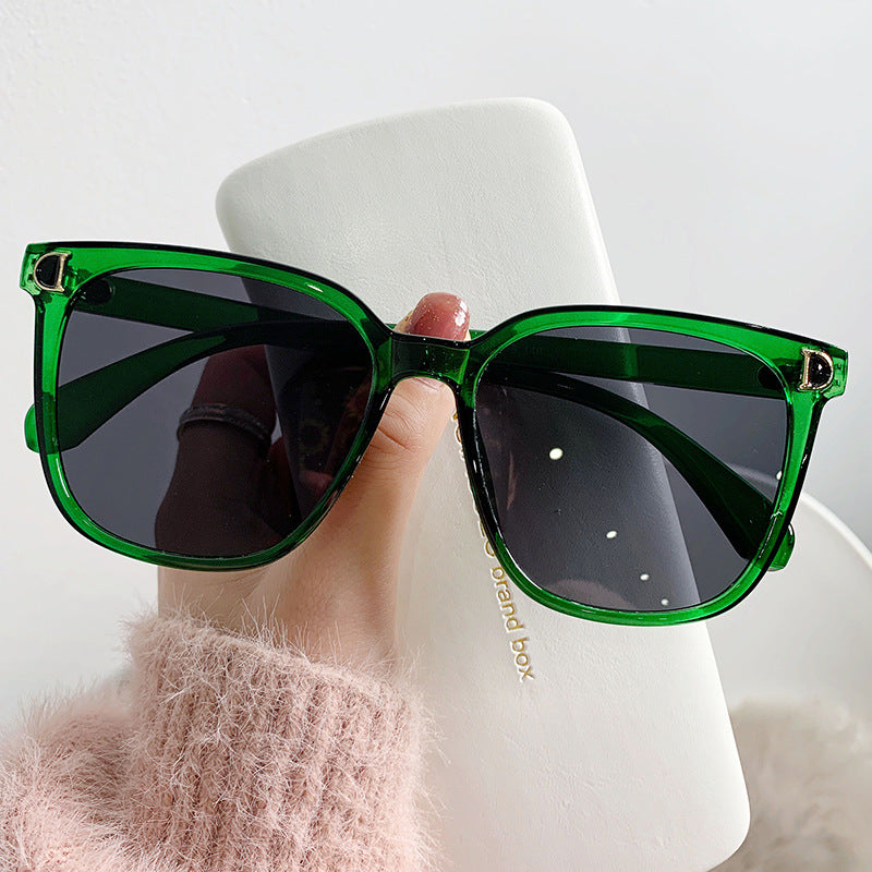 Clear Border Sunglasses