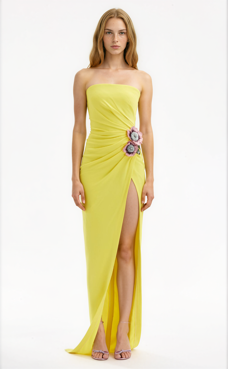 Aaron Embroidered Floral Maxi Dress
