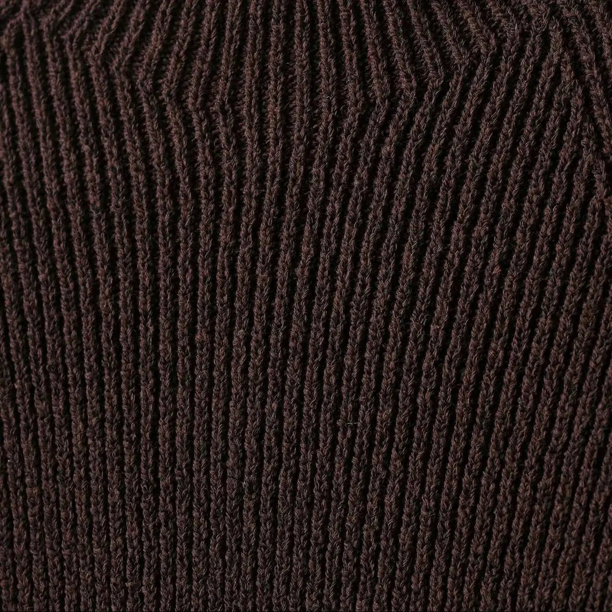 Alannah Seamless Knit Crop Top