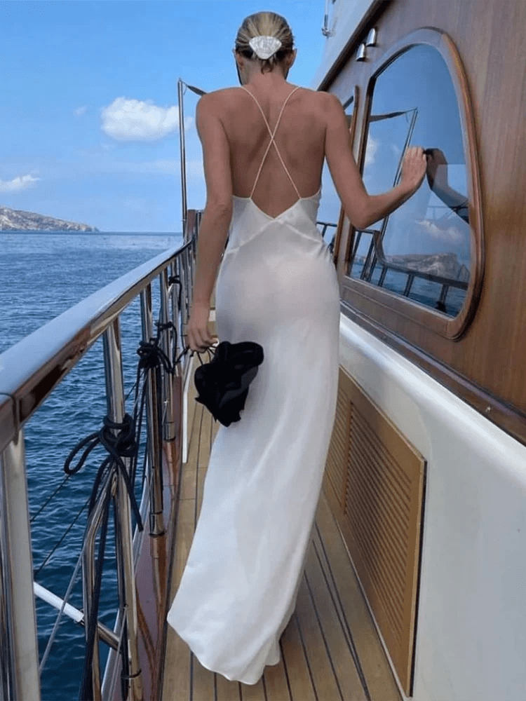 Eva Deep V Sheer Slip Maxi Dress